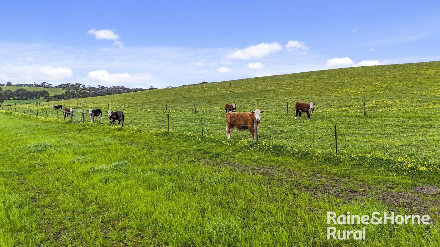 48 Mine Flat Road — photo 14 of 30