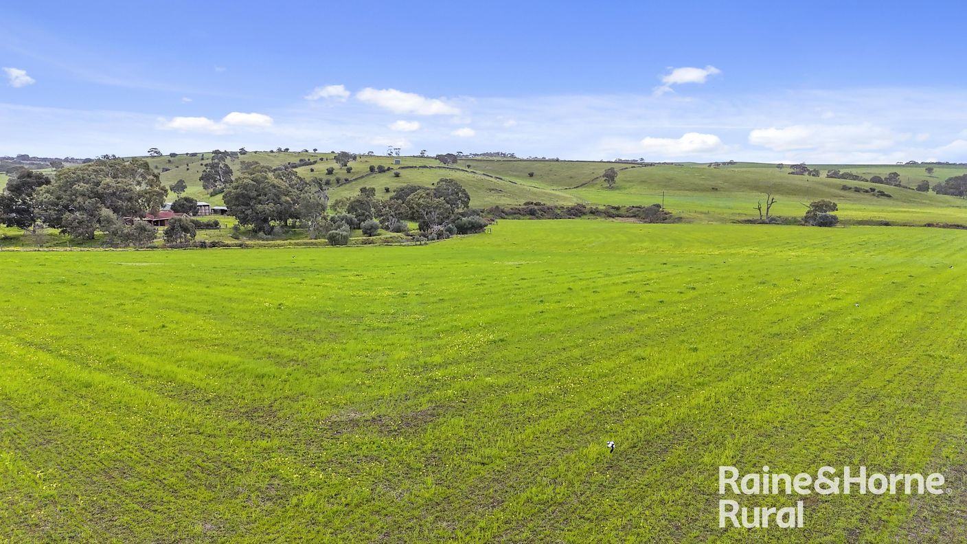 48 Mine Flat Road — photo 10 of 30
