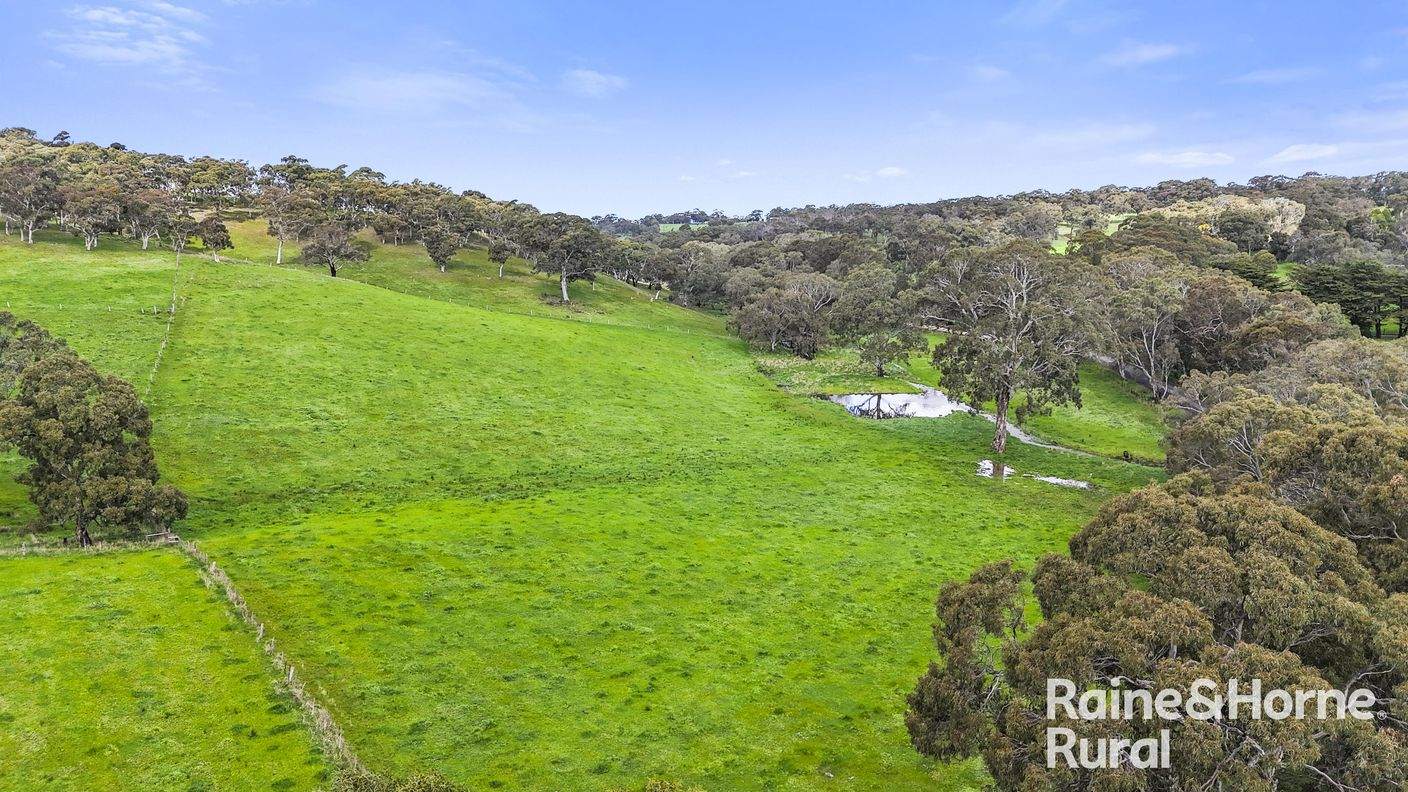 Lot 1212 Pound Road — photo 3 of 27