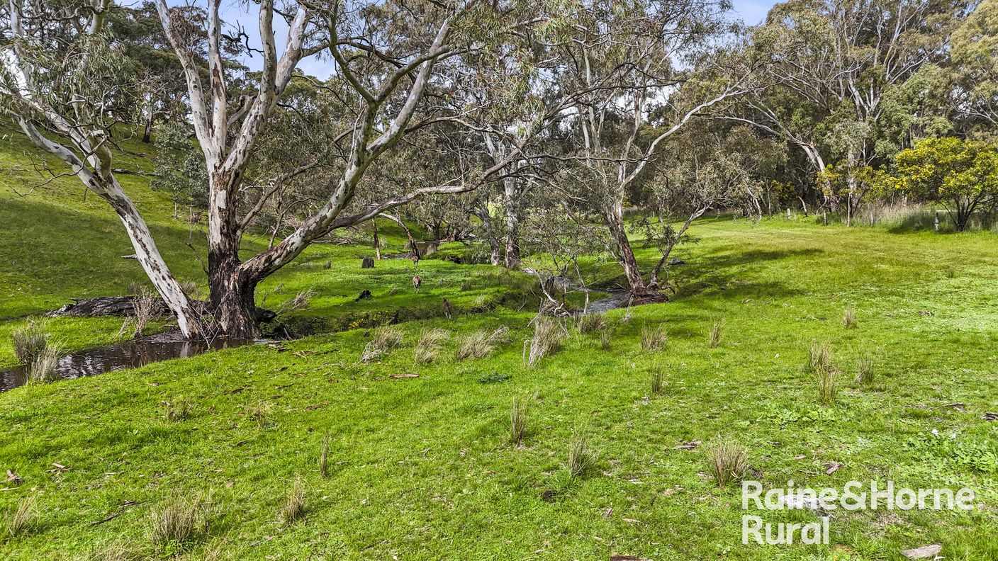 Lot 1212 Pound Road — photo 9 of 27