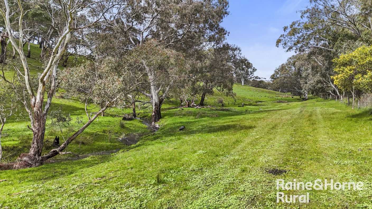 Lot 1212 Pound Road — photo 13 of 27