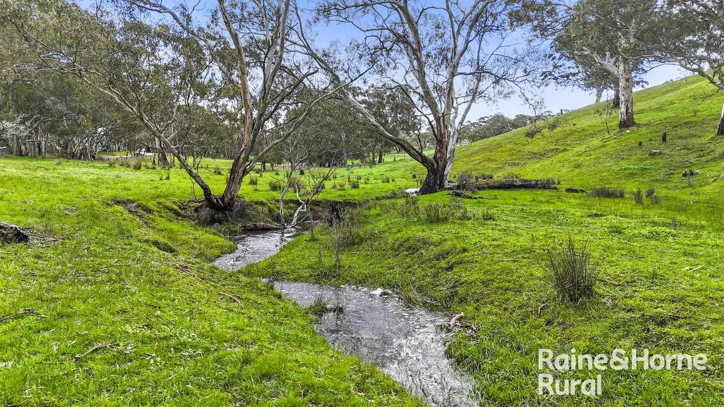Lot 1212 Pound Road — photo 14 of 27