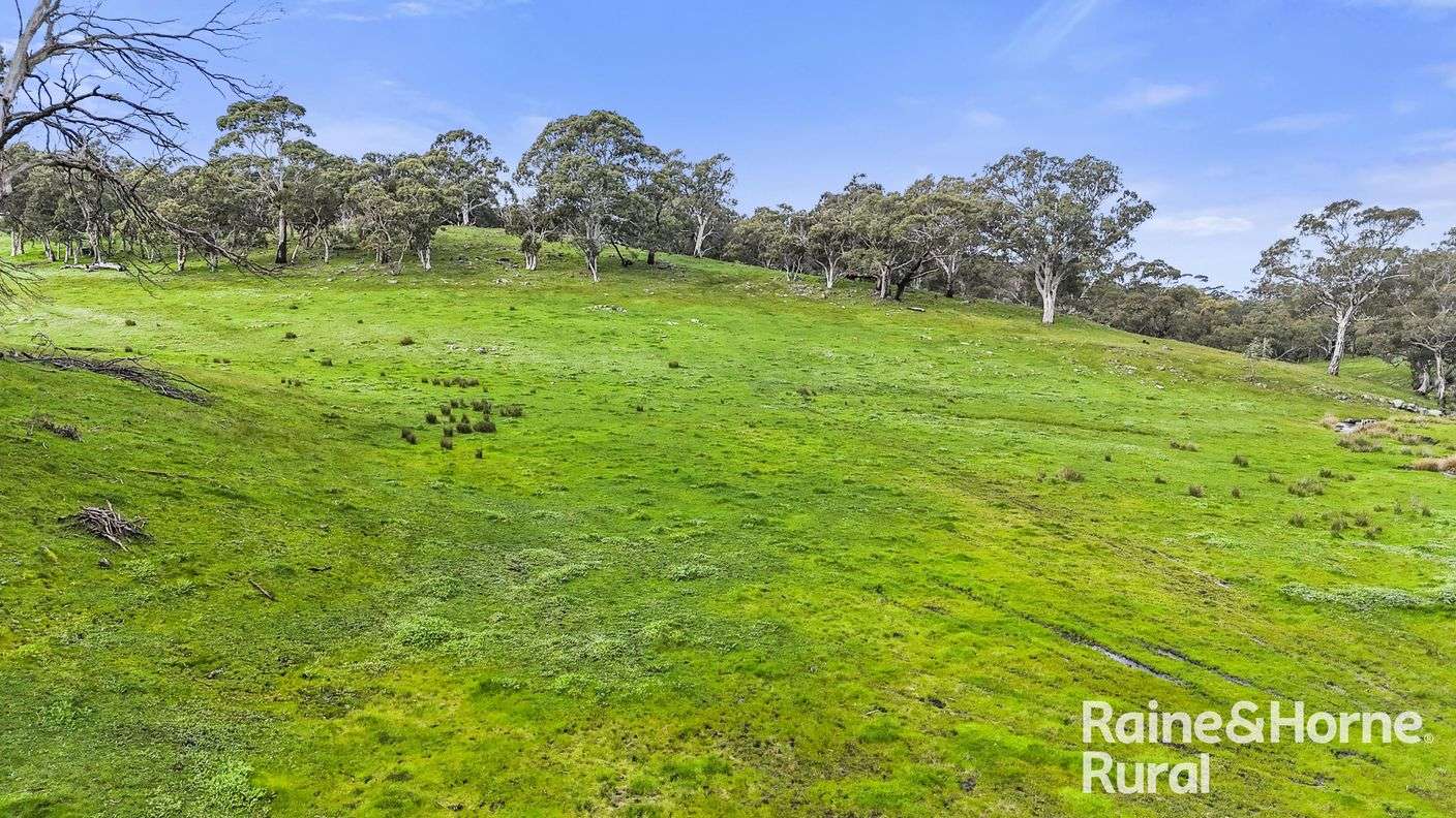 Lot 1212 Pound Road — photo 15 of 27
