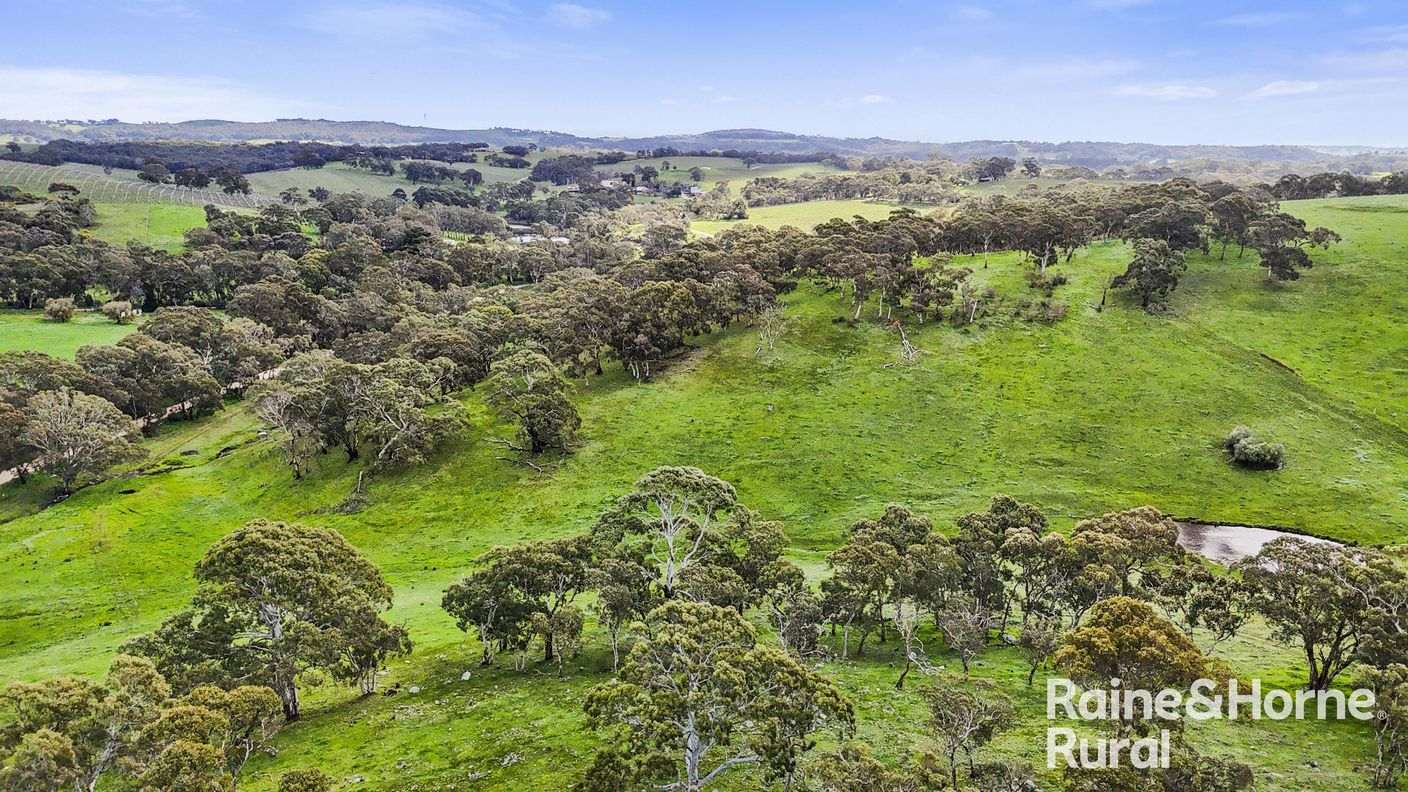Lot 1212 Pound Road — photo 12 of 27