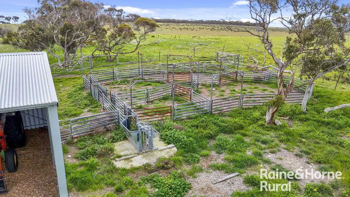 Lot 259 Harvey Road — photo 4 of 23