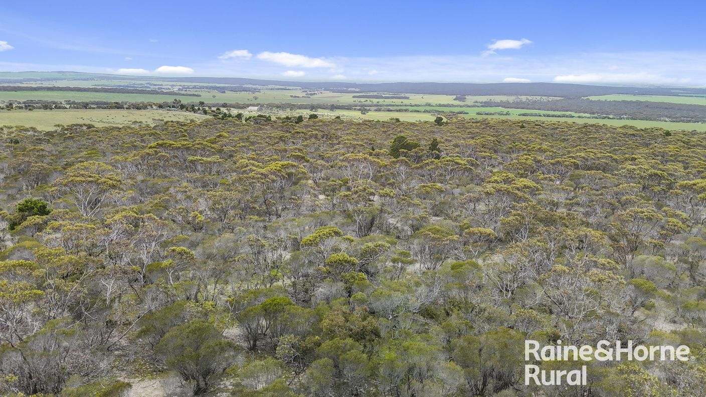 Lot 259 Harvey Road — photo 18 of 23