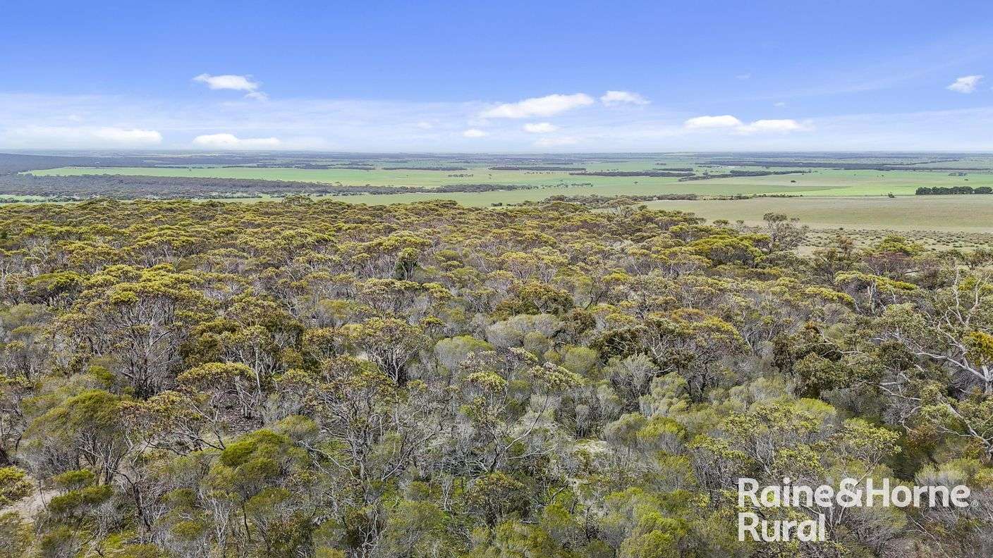 Lot 259 Harvey Road — photo 21 of 23