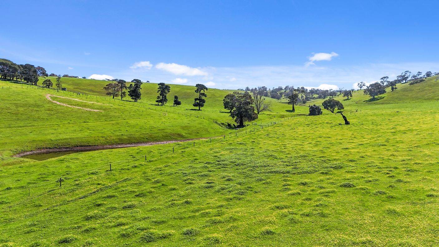 Allotment 702 Wattle Flat Road — photo from Raine & Horne Hills & Fleurieu RLA 316138