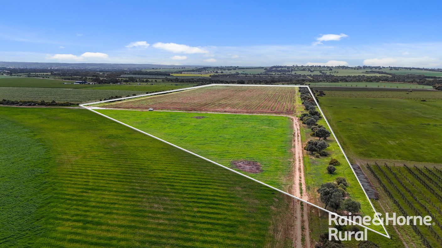 A21, A23 & A24 Riverside Road — photo 16 of 22