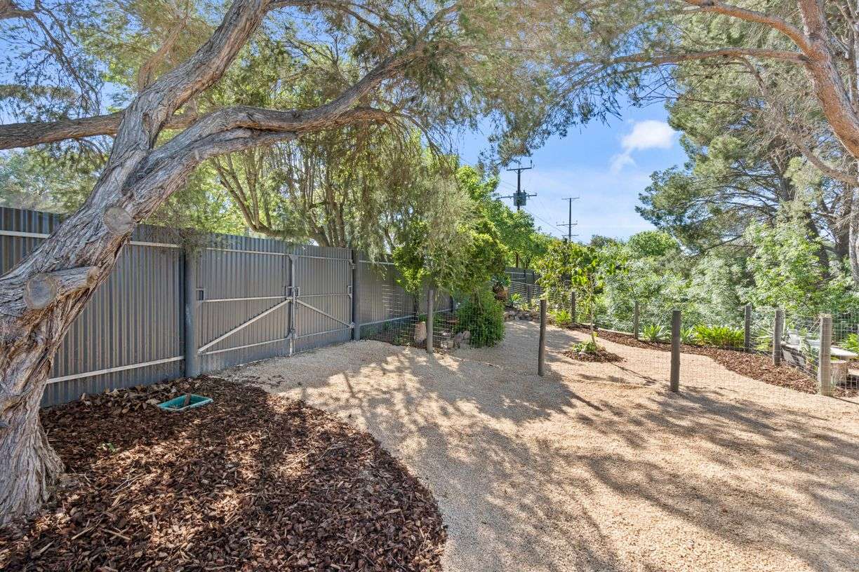 29 Albyn Terrace — photo 24 of 30