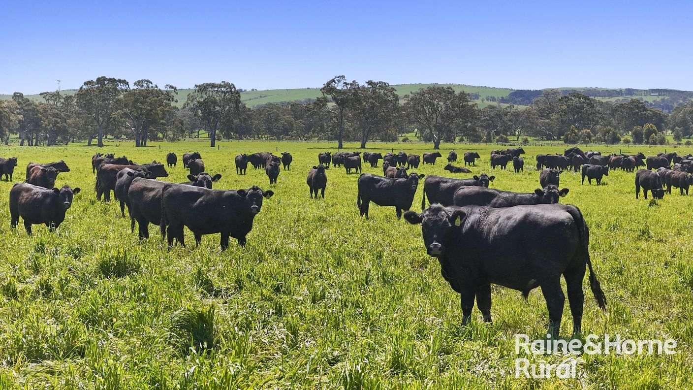 160 Rowley Road — photo from Raine & Horne Hills & Fleurieu RLA 316138