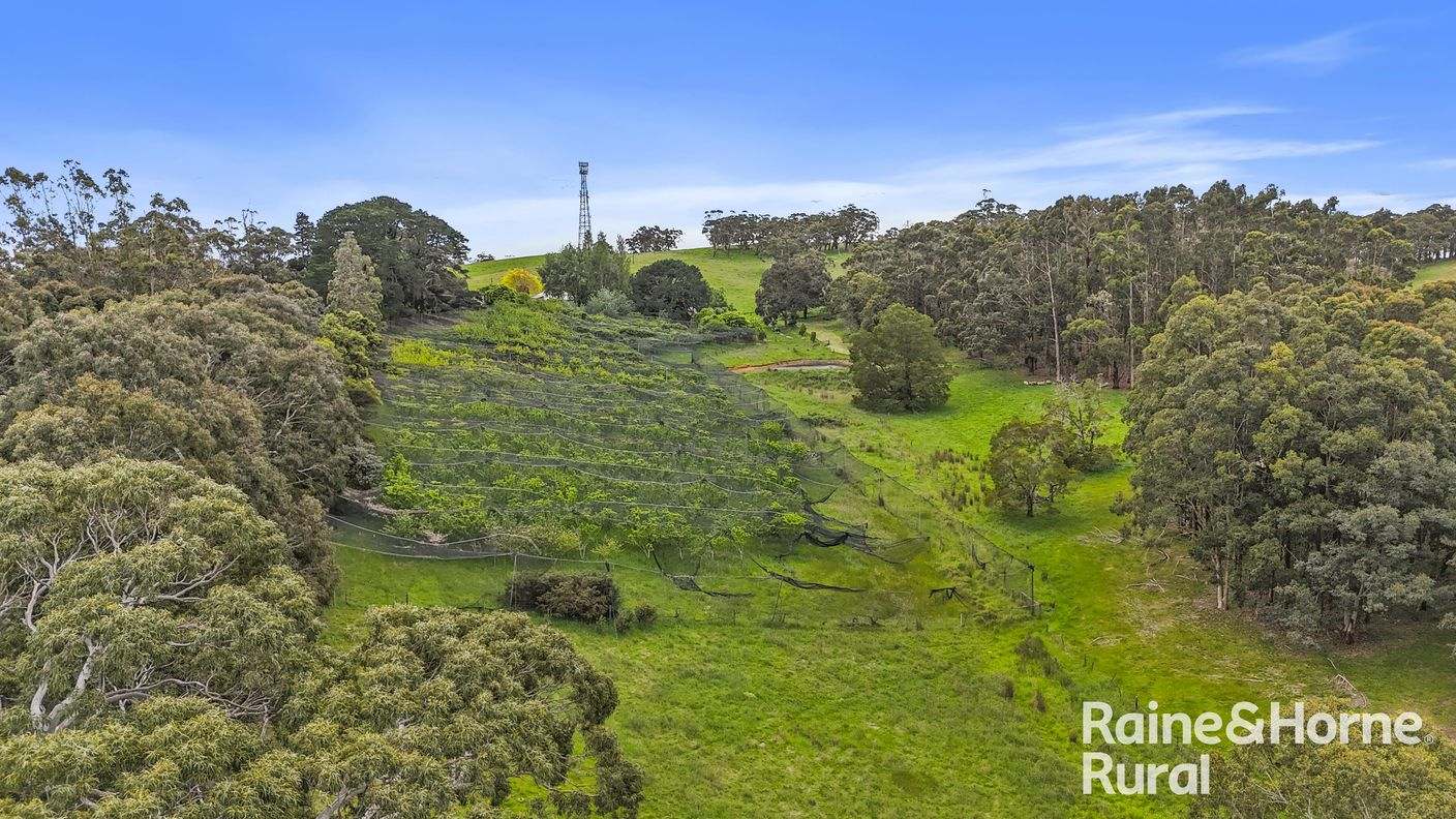 104 Wattle Road — photo 22 of 30