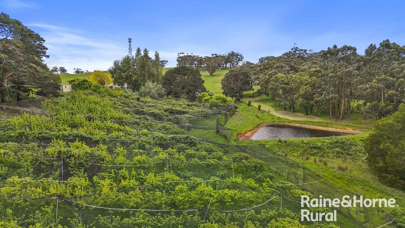 104 Wattle Road — photo 25 of 30