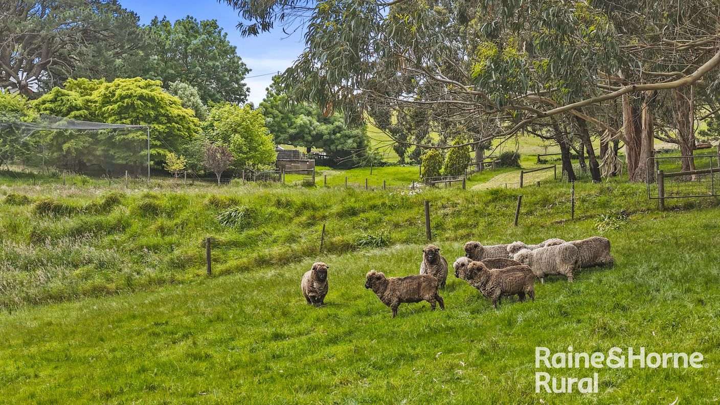 104 Wattle Road — photo 26 of 30