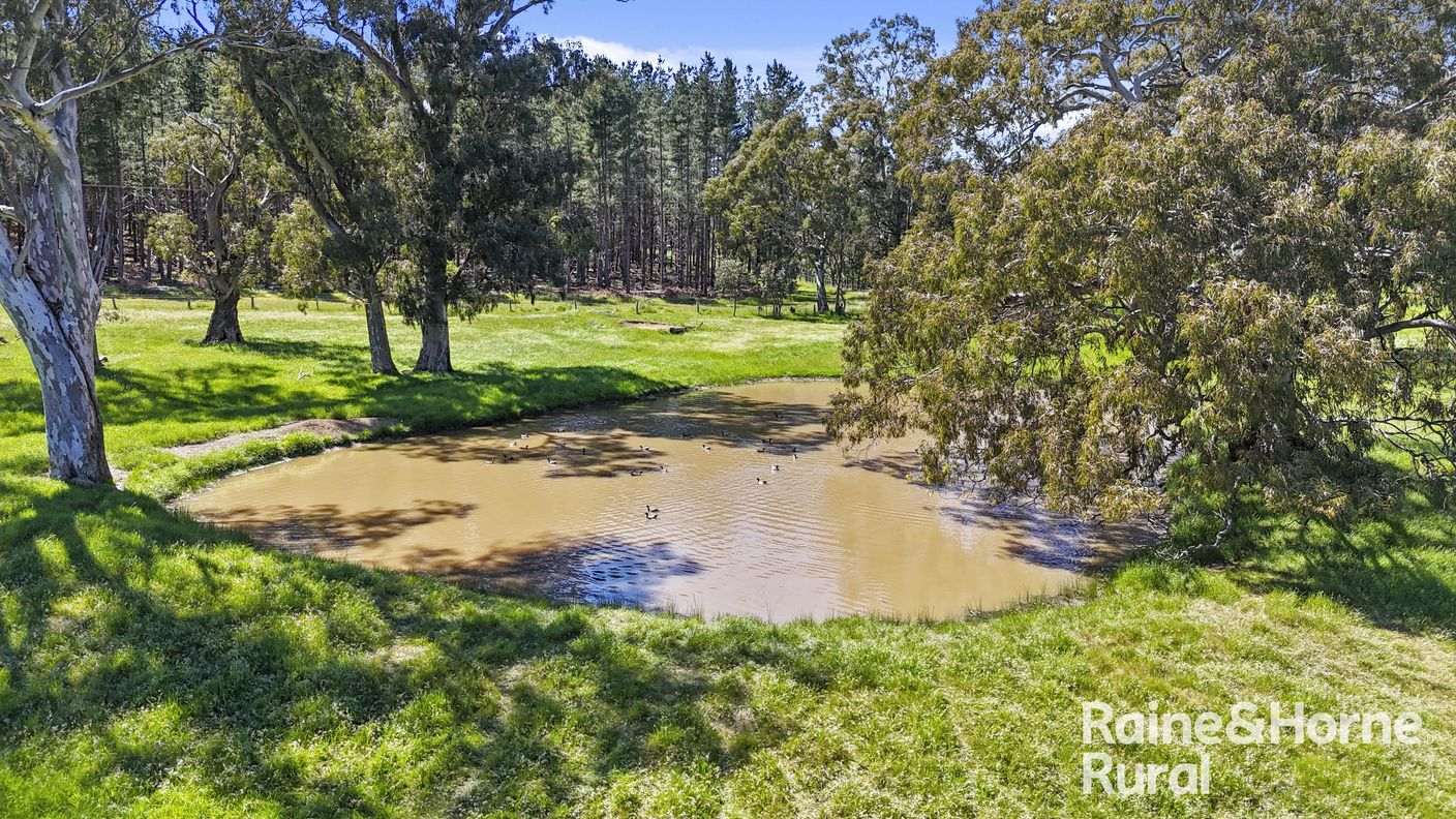 Lot 201 Wickhams Hill Road — photo 20 of 30