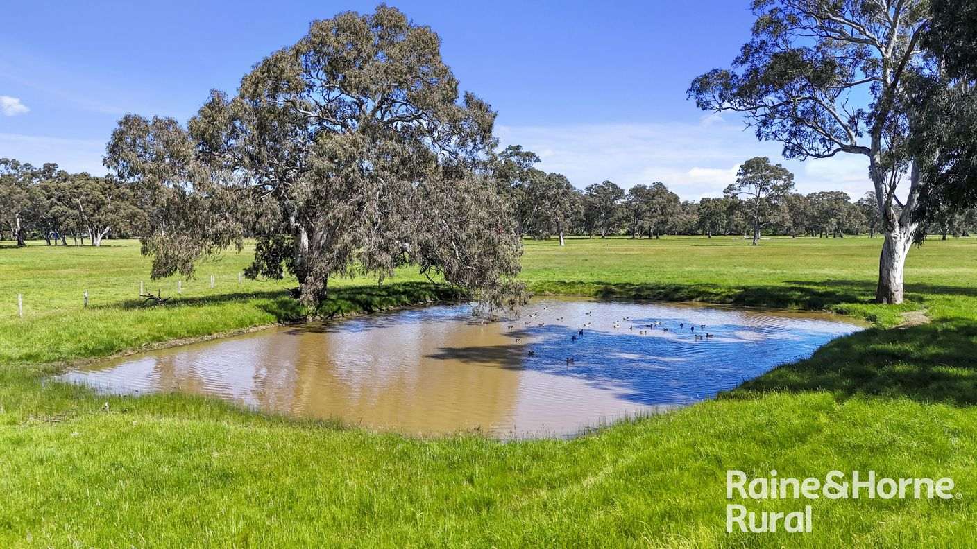Lot 201 Wickhams Hill Road — photo 9 of 30