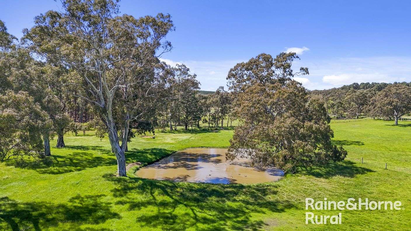 Lot 201 Wickhams Hill Road — photo 7 of 30