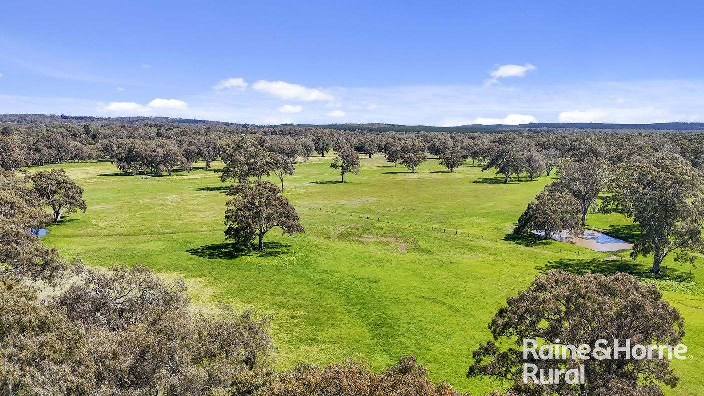 Lot 201 Wickhams Hill Road — photo 8 of 30