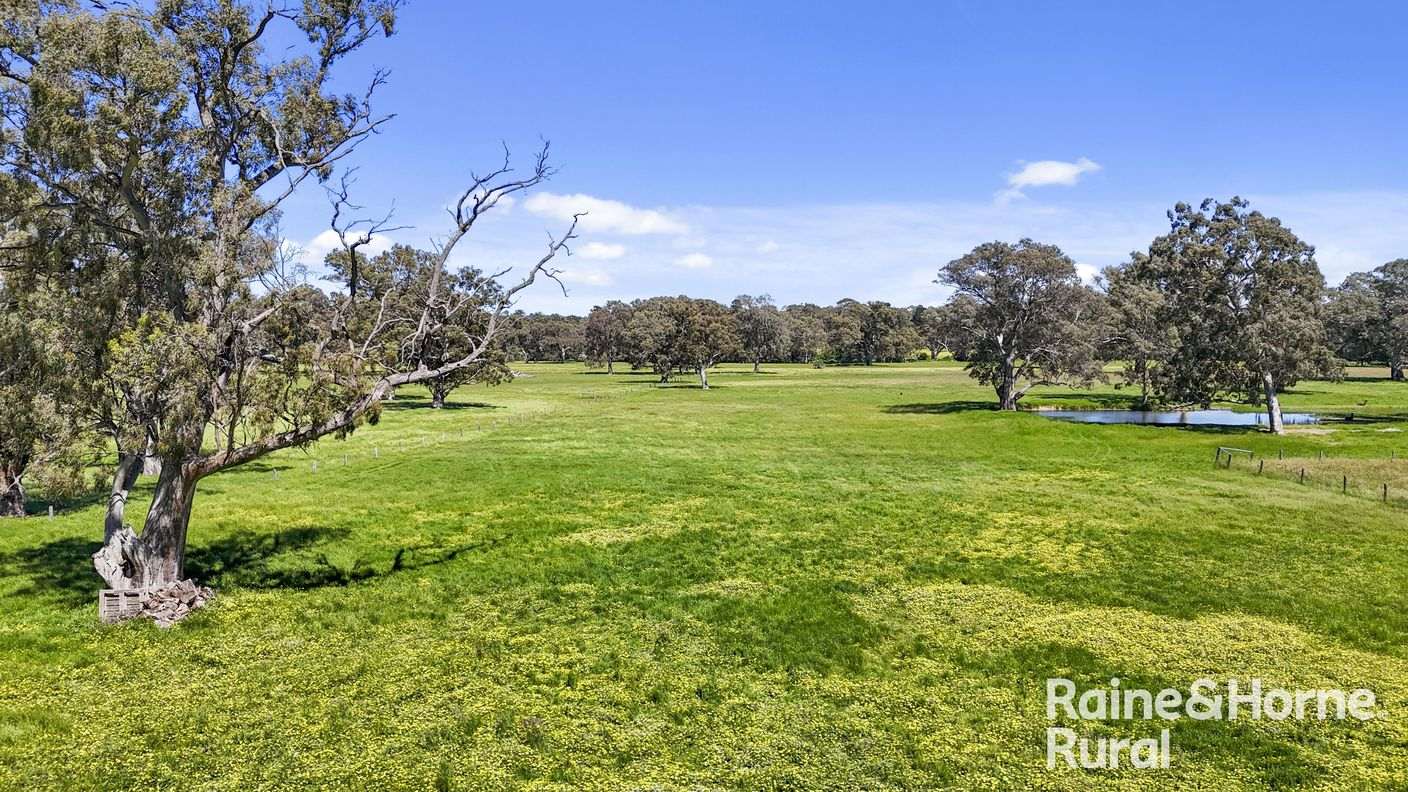 Lot 201 Wickhams Hill Road — photo 10 of 30