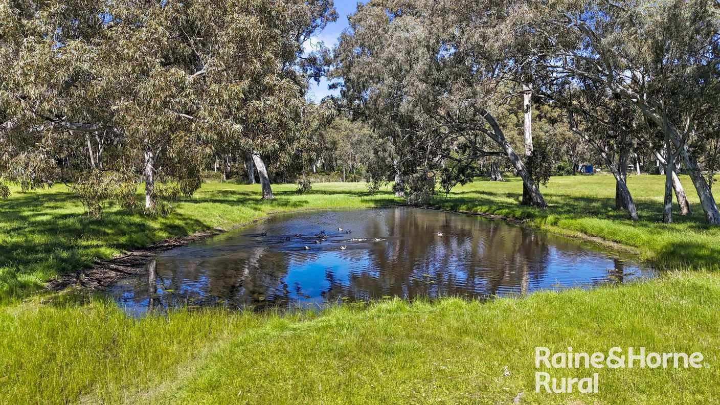 Lot 201 Wickhams Hill Road — photo 11 of 30