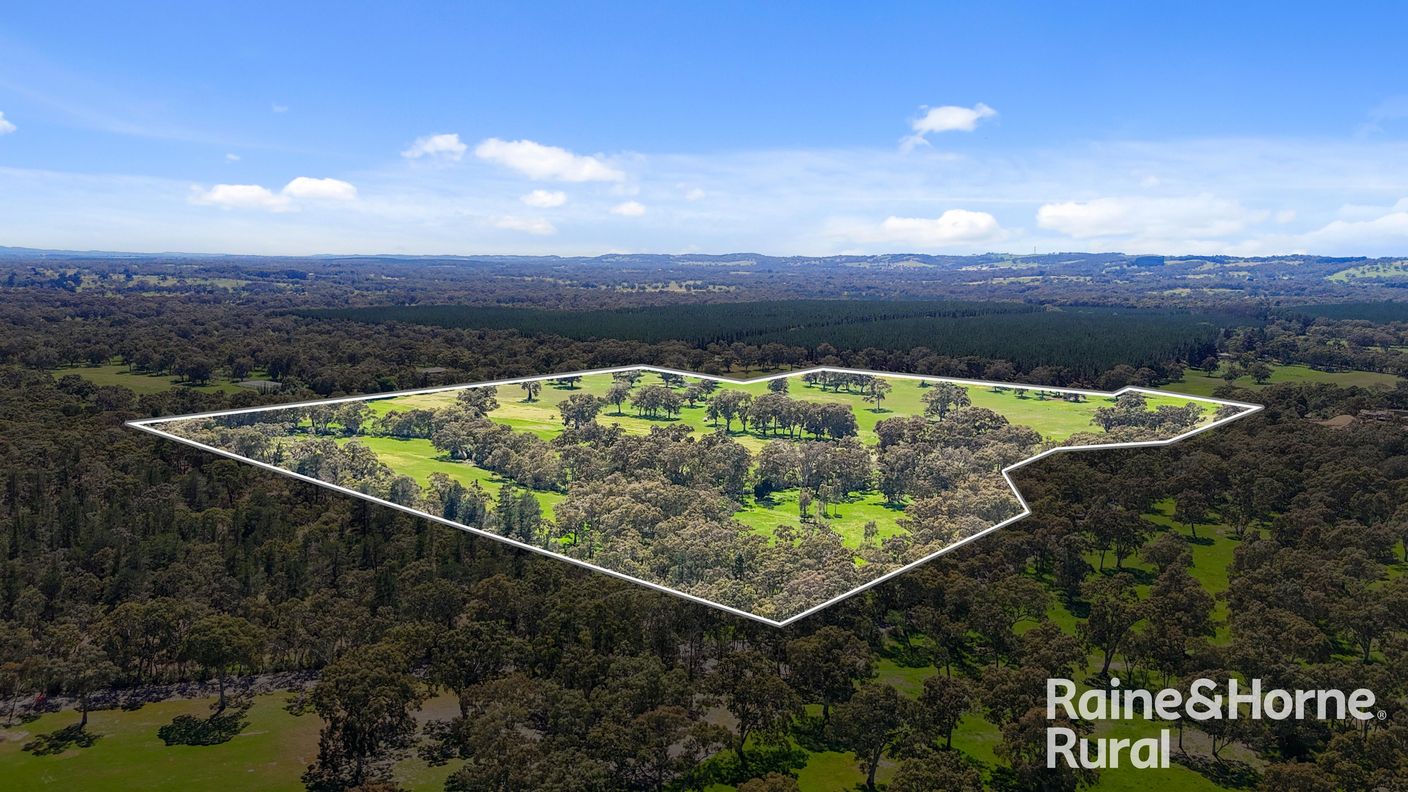 Lot 201 Wickhams Hill Road — photo 19 of 30
