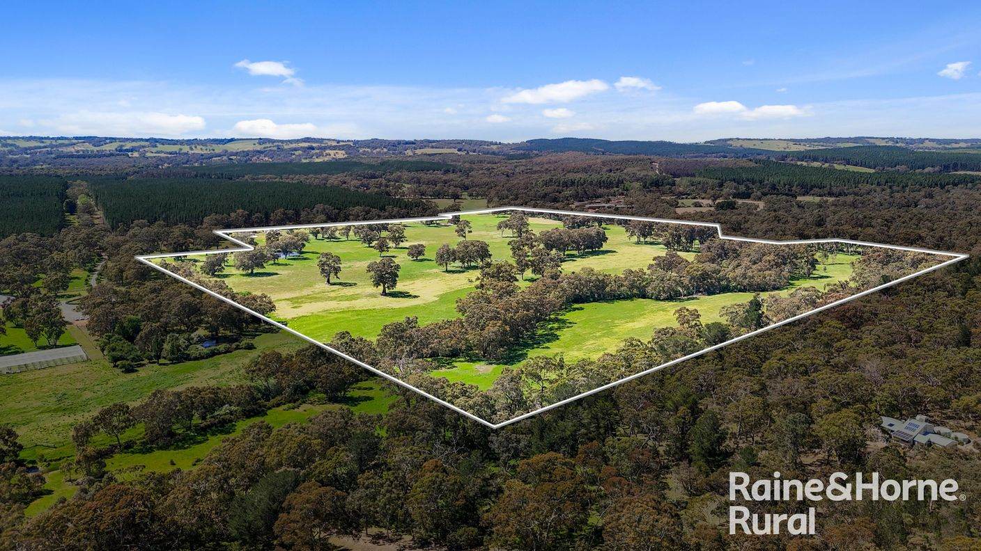 Lot 201 Wickhams Hill Road — photo 3 of 30