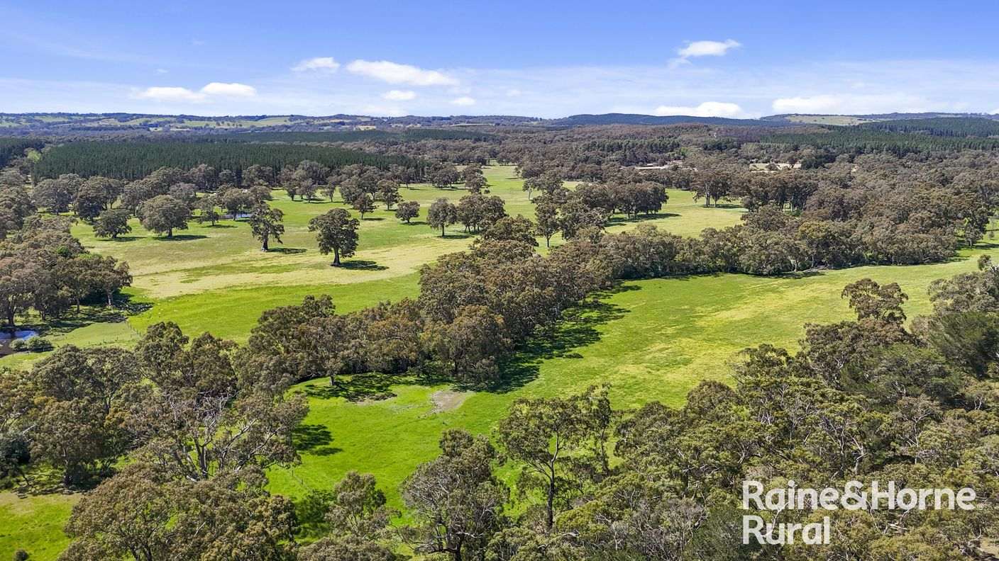 Lot 201 Wickhams Hill Road — photo 27 of 30