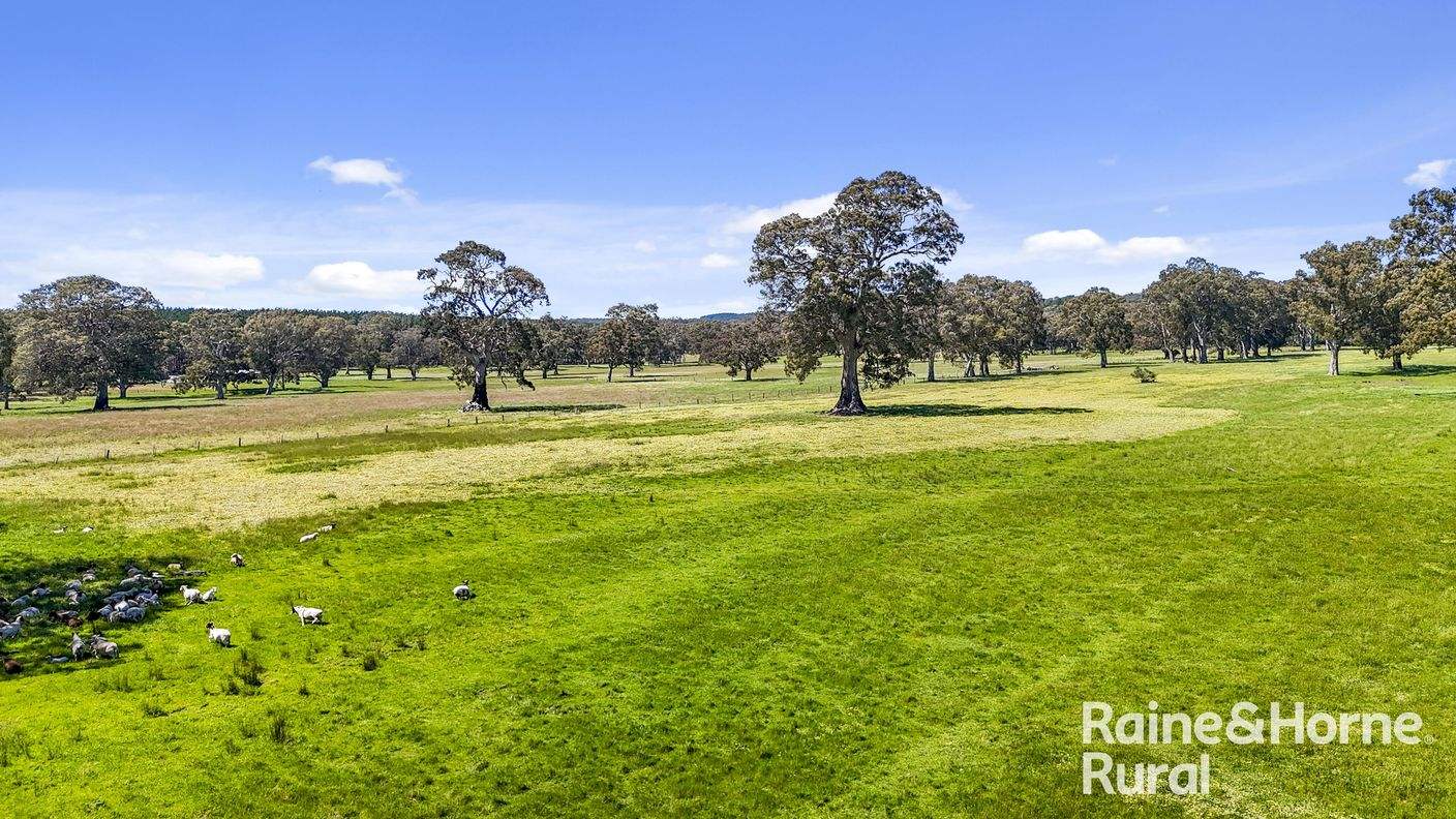Lot 201 Wickhams Hill Road — photo 28 of 30