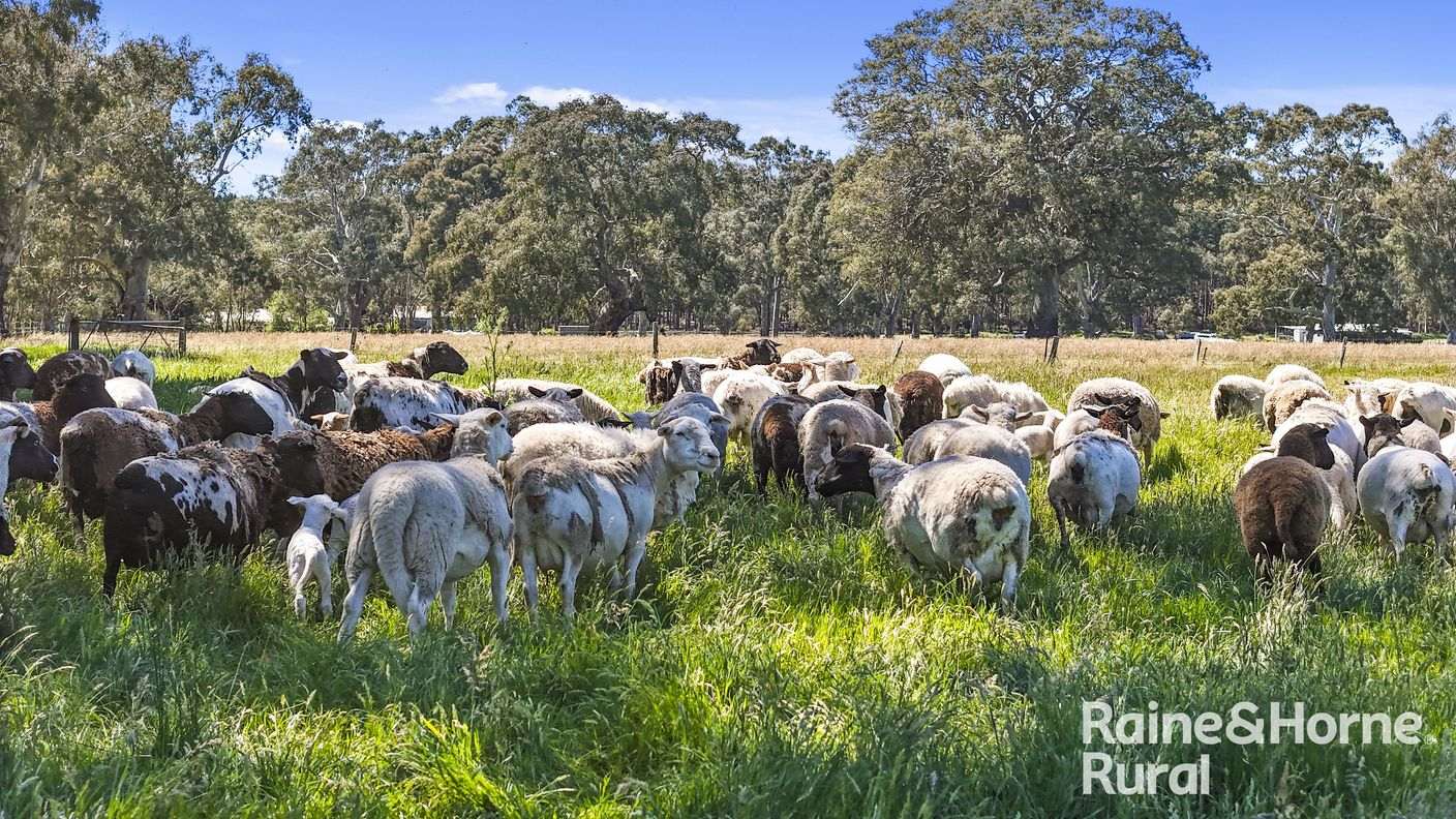 Lot 201 Wickhams Hill Road — photo 4 of 30