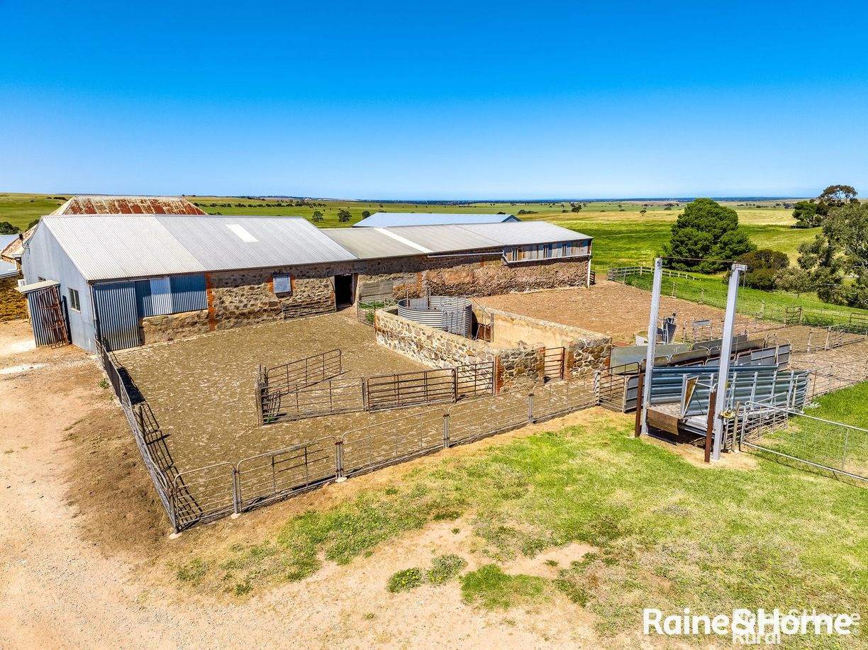 property-image