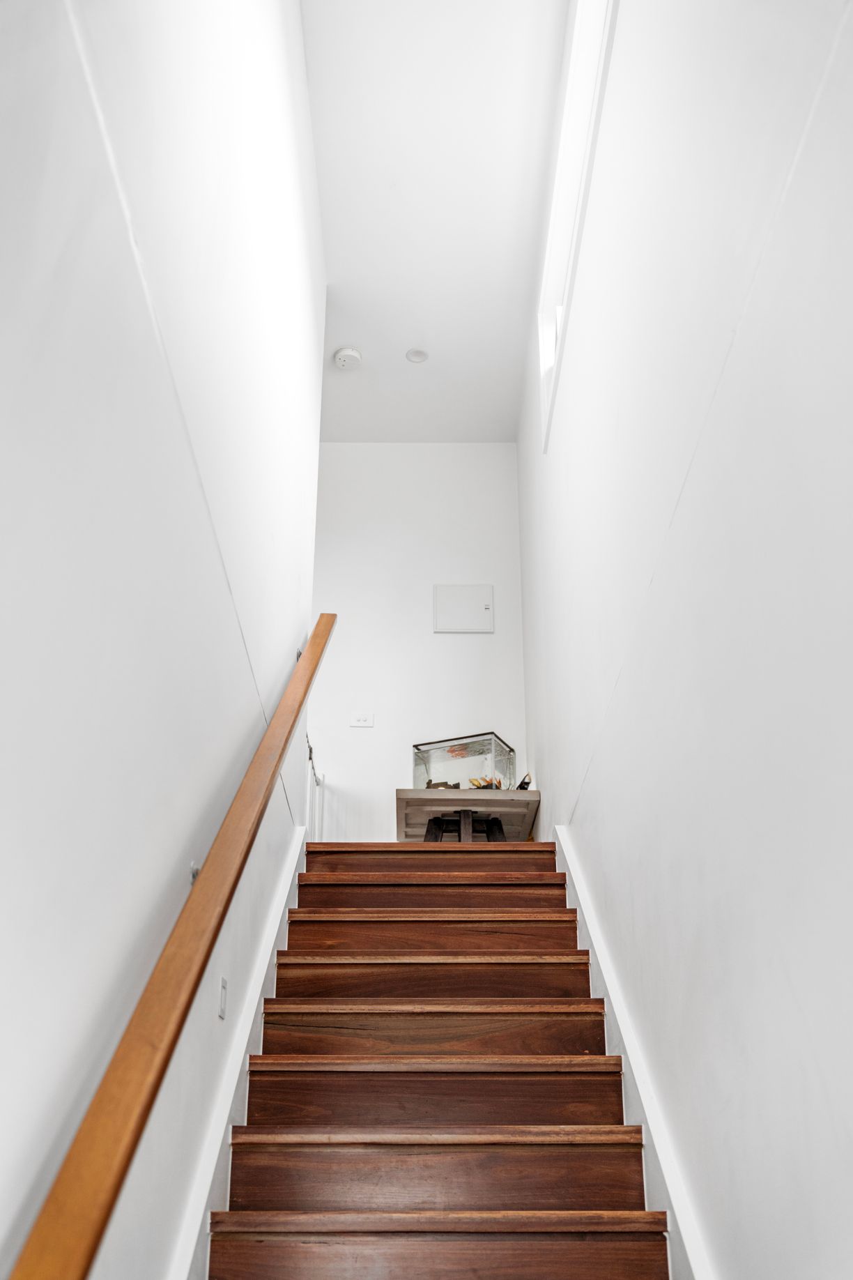 1/563 Albion Street — photo 5 of 12