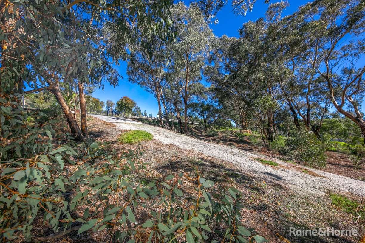 24 Emu Road — photo 9 of 12