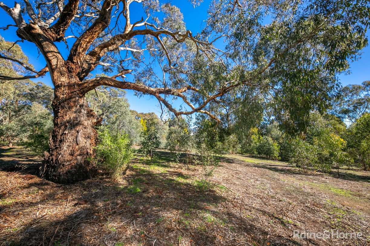 24 Emu Road — photo 5 of 12