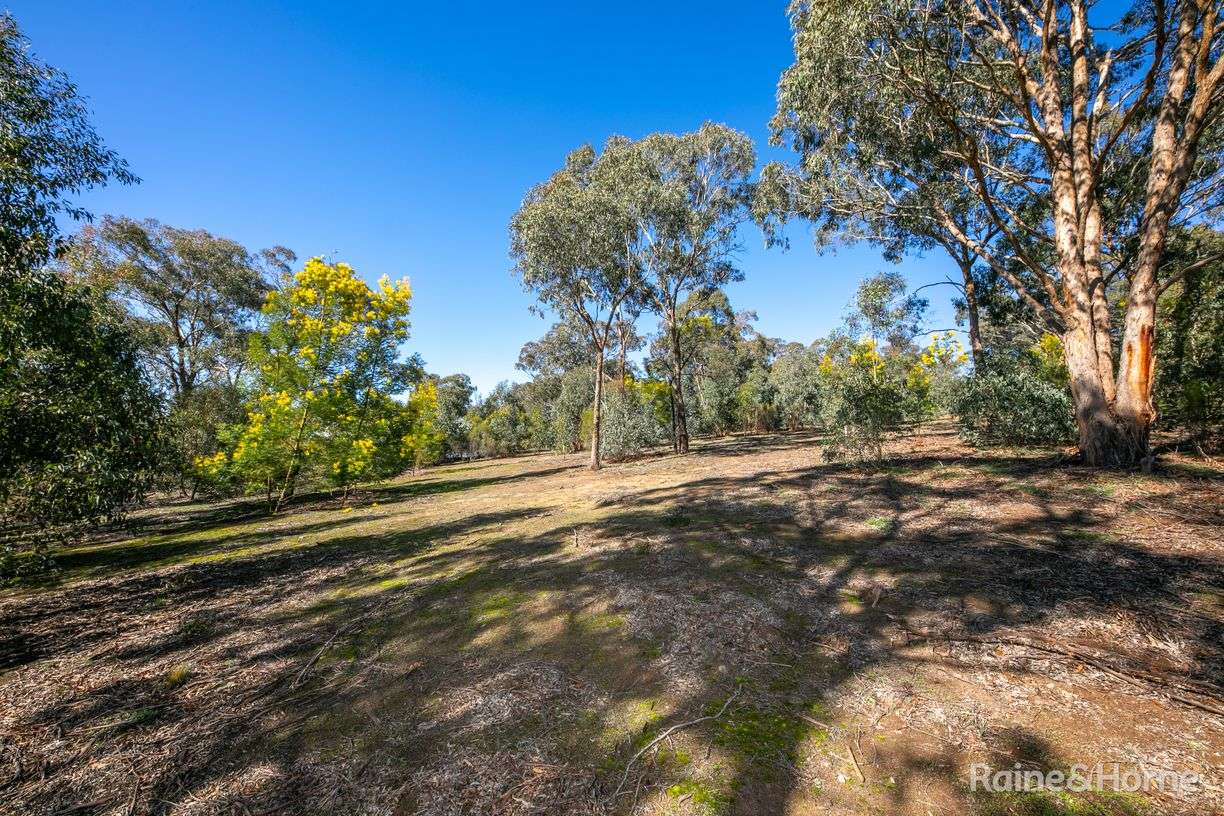24 Emu Road — photo 6 of 12