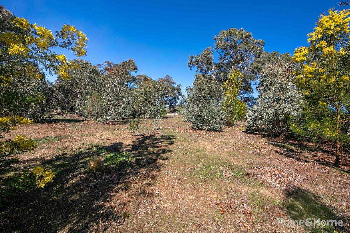 24 Emu Road — photo 3 of 12