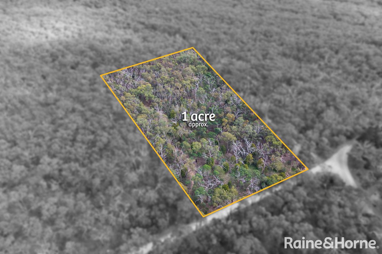 Lot 1 Royal Pde — photo 2 of 12
