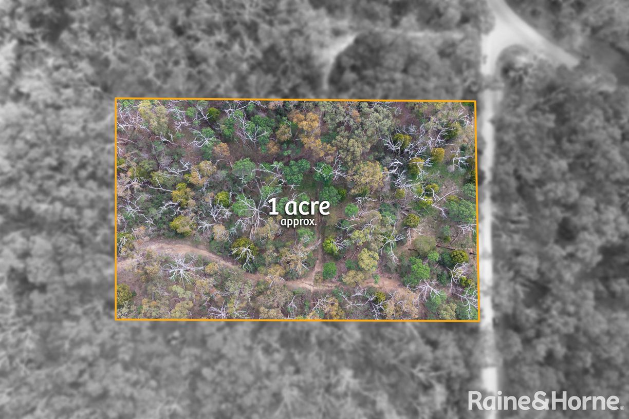 Lot 1 Royal Pde — photo 3 of 12