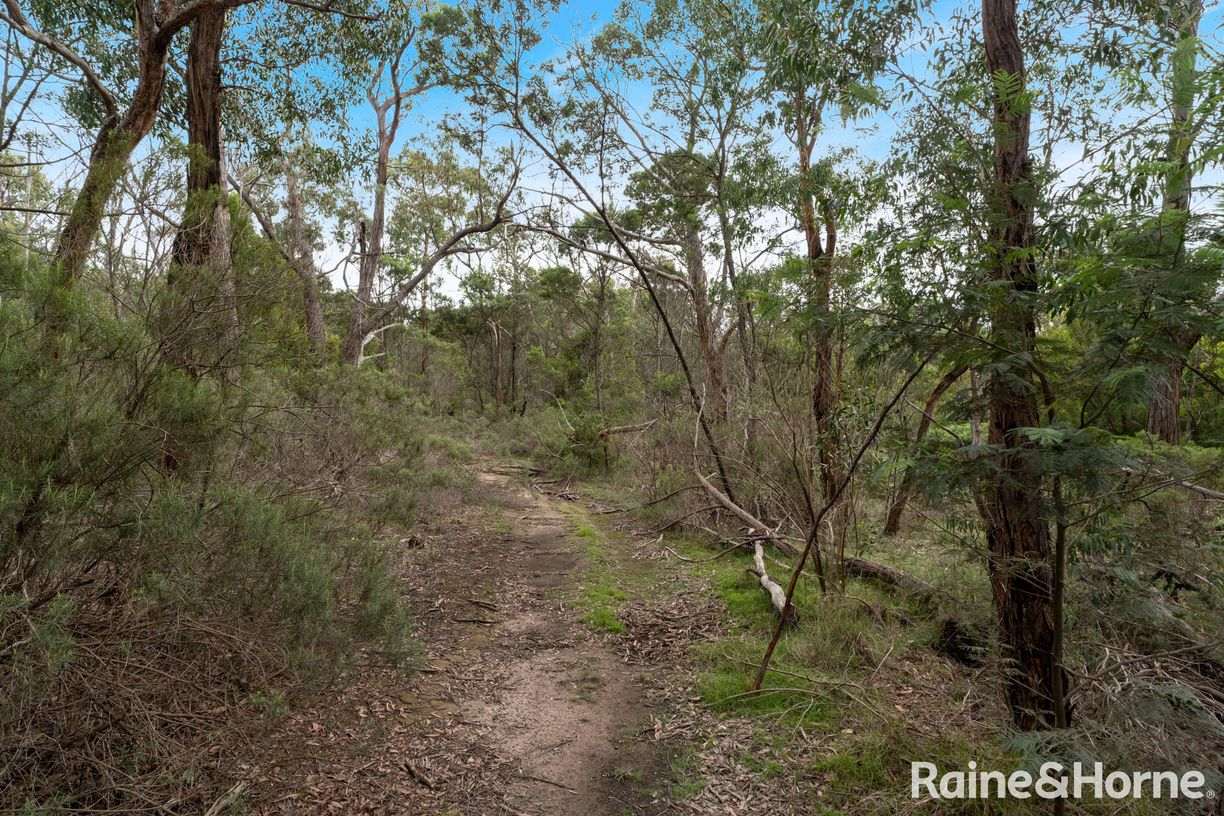 Lot 1 Royal Pde — photo 4 of 12