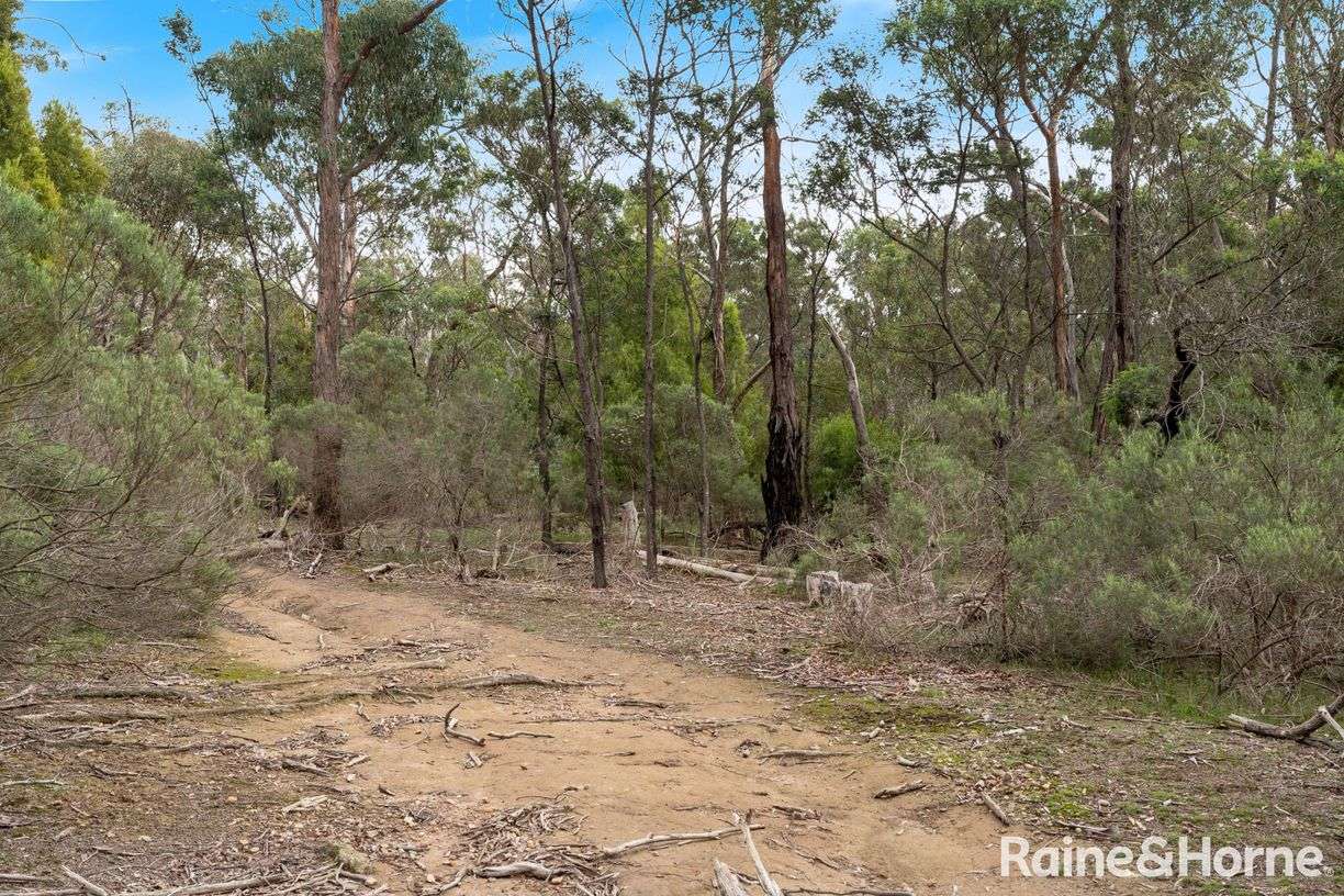 Lot 1 Royal Pde — photo 6 of 12