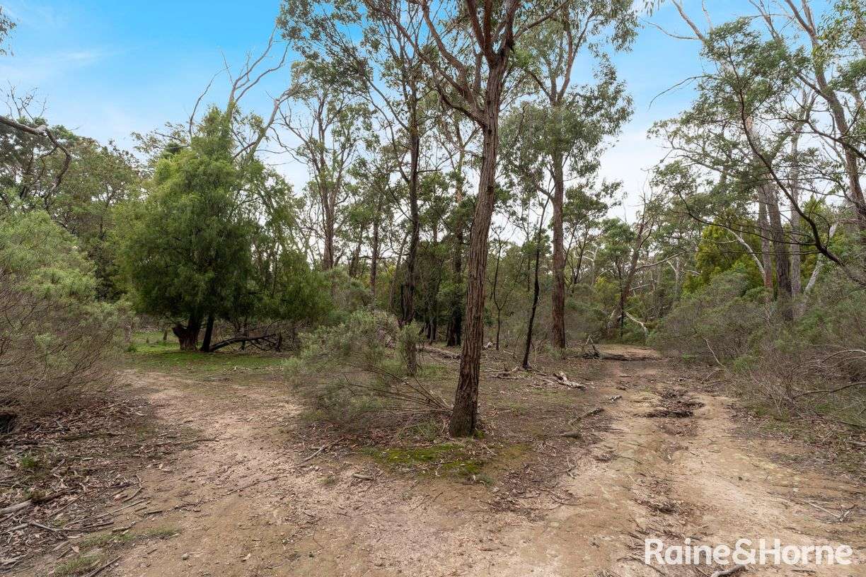 Lot 1 Royal Pde — photo 7 of 12