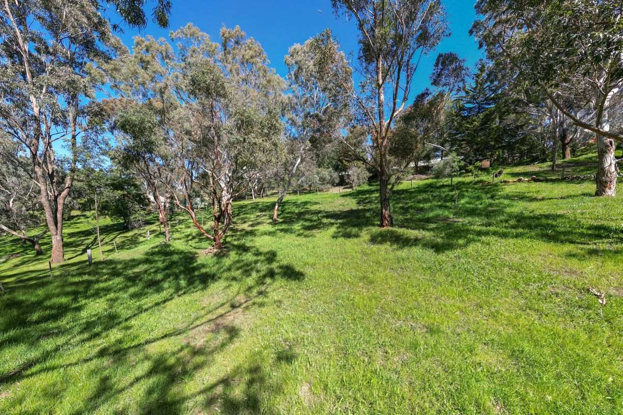 645 Racecourse Road — photo 13 of 23