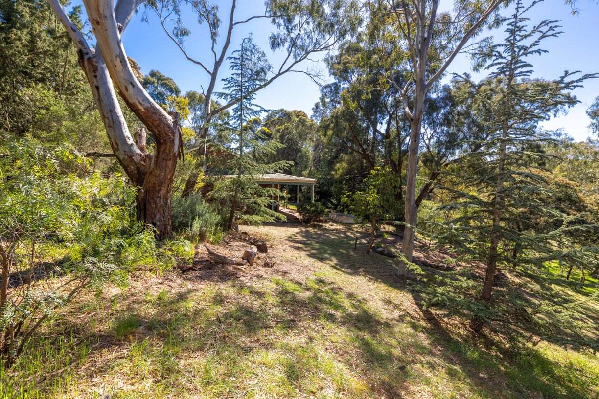 645 Racecourse Road — photo 15 of 23