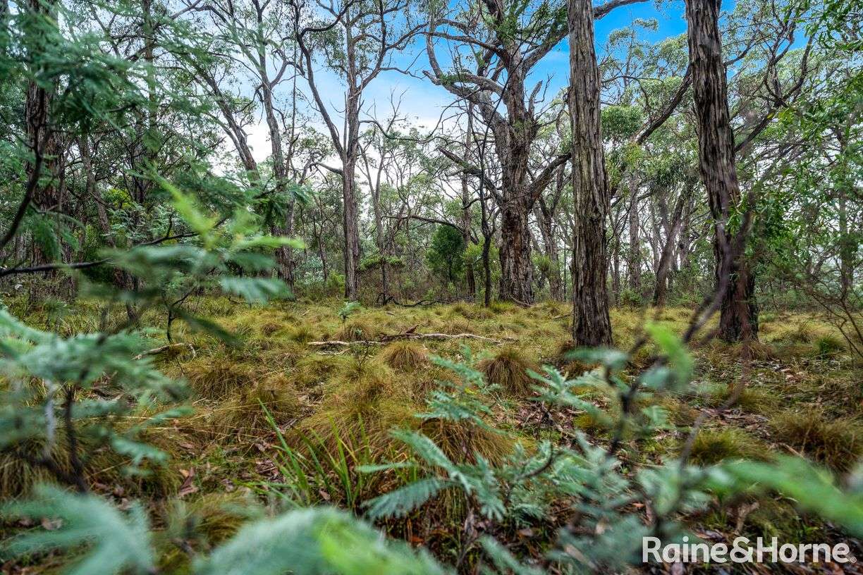 Lot 126 Prince Alfred Street — photo 4 of 8