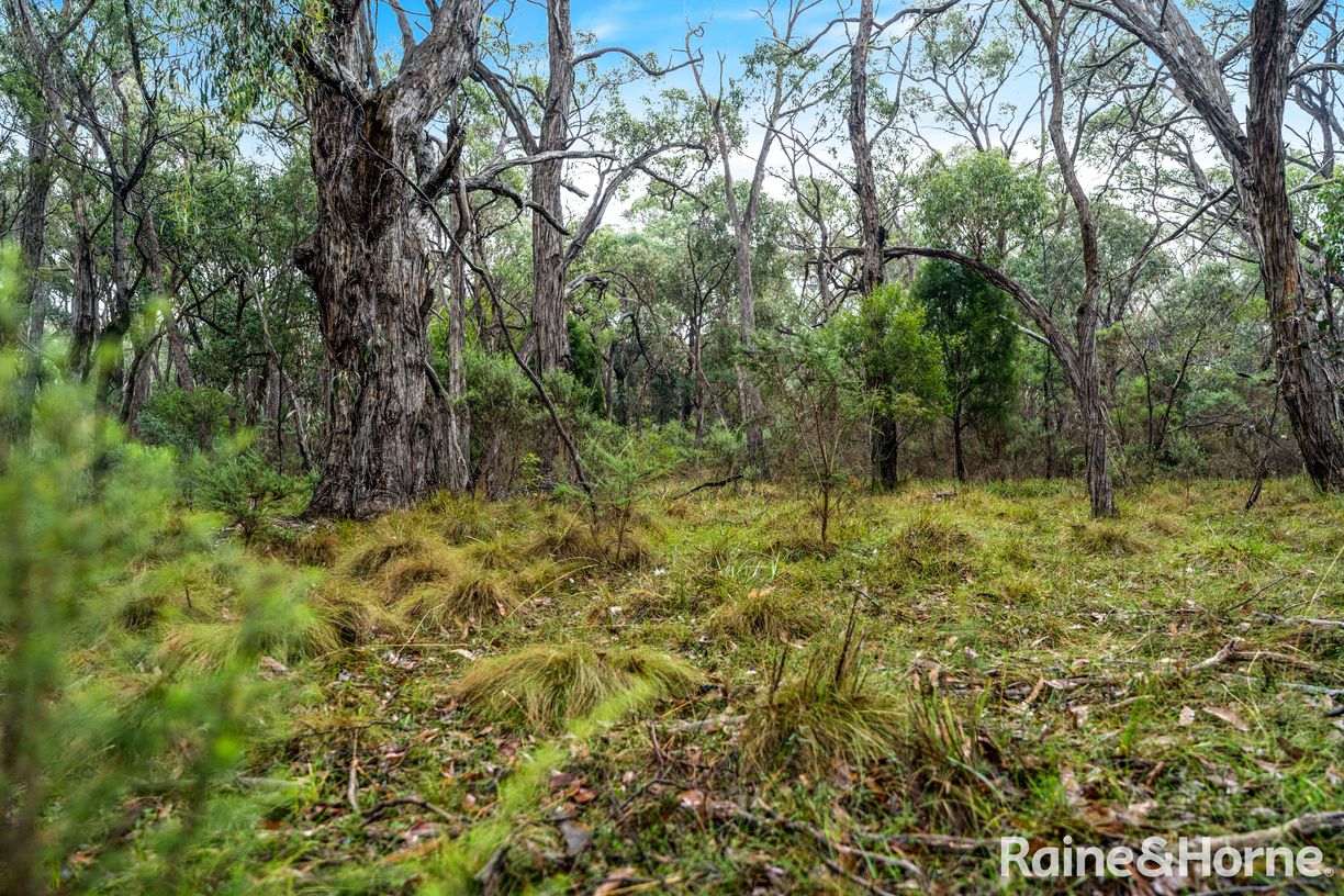 Lot 126 Prince Alfred Street — photo 5 of 8