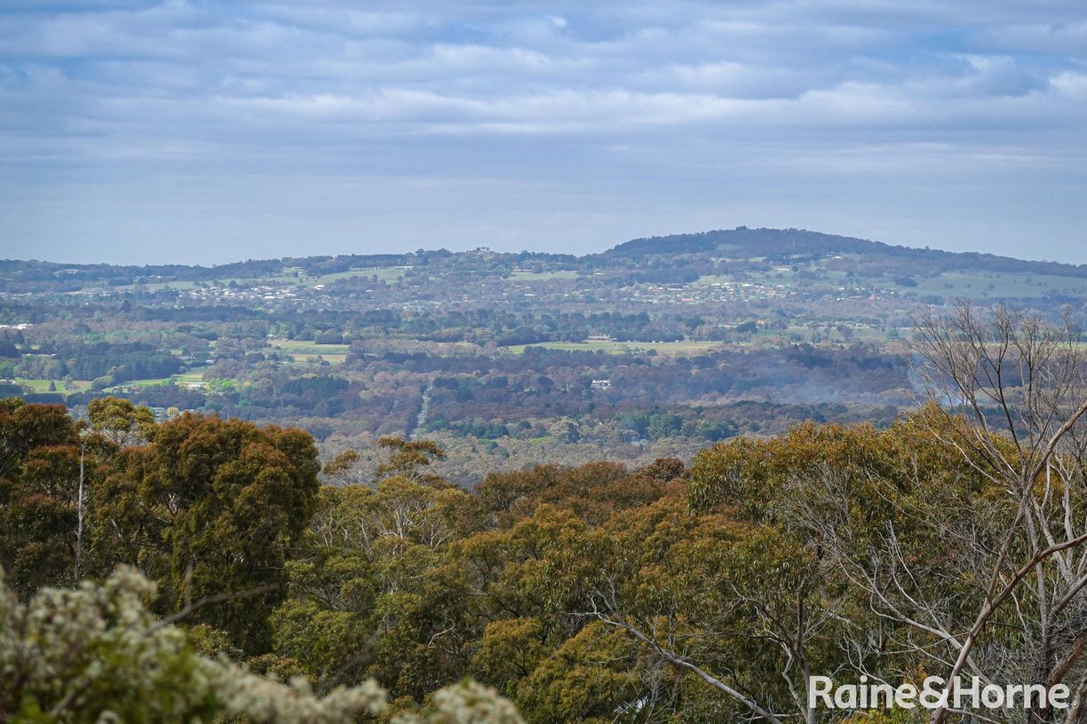 38 Mabel Crescent — photo from Raine & Horne Gisborne