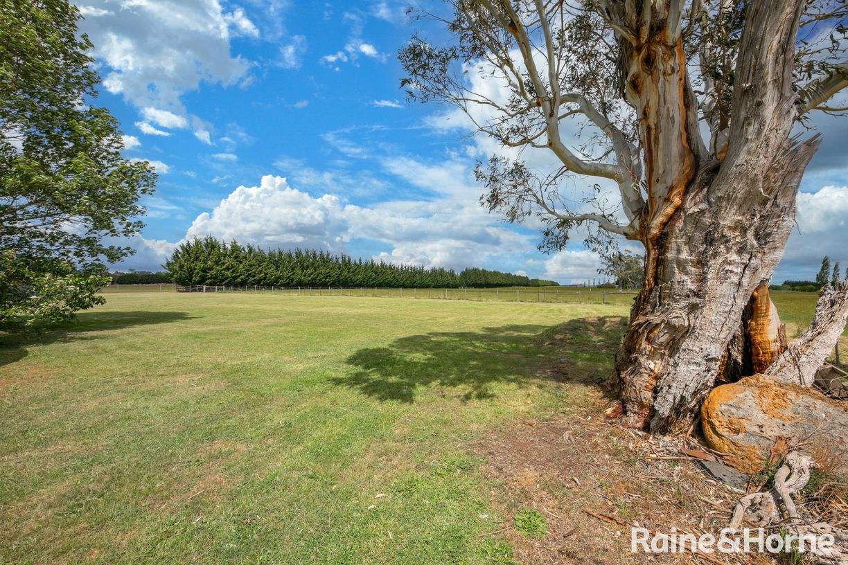 99 Crows Road — photo 15 of 18