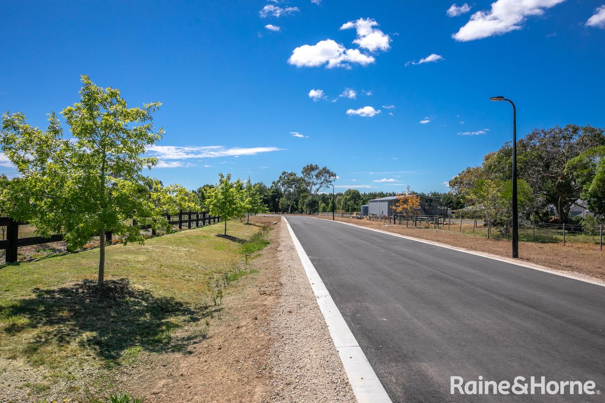 Saunders Rise — photo 11 of 13