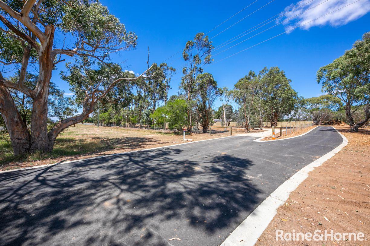 Saunders Rise — photo 12 of 13