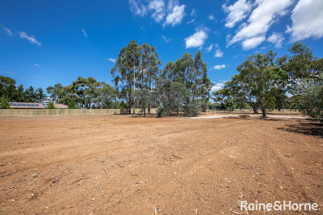 Saunders Rise — photo 4 of 13
