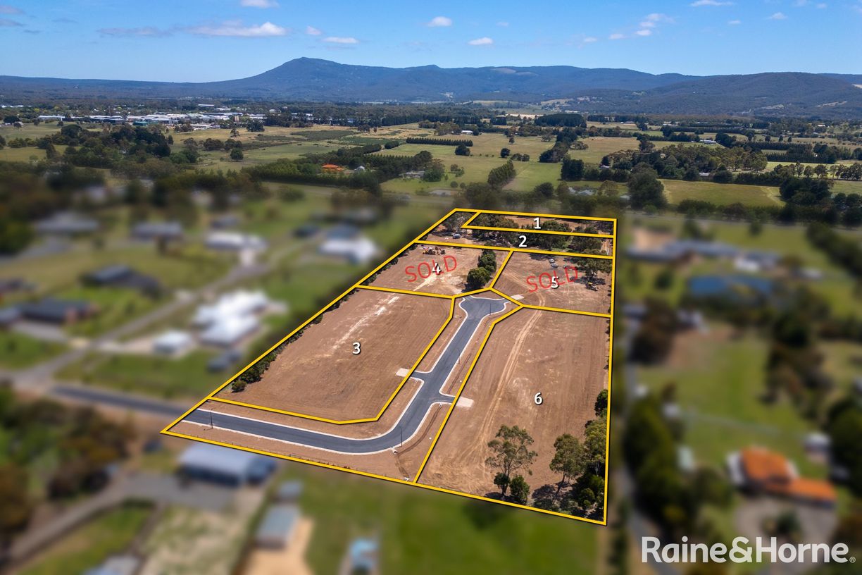 Saunders Rise — photo from Raine & Horne Gisborne